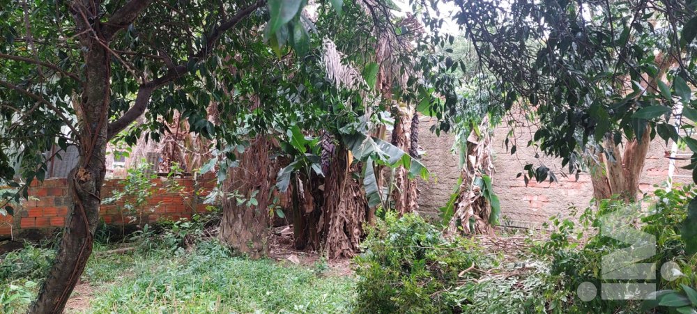 Terreno Nossa Senhora Das Graças Canoas
