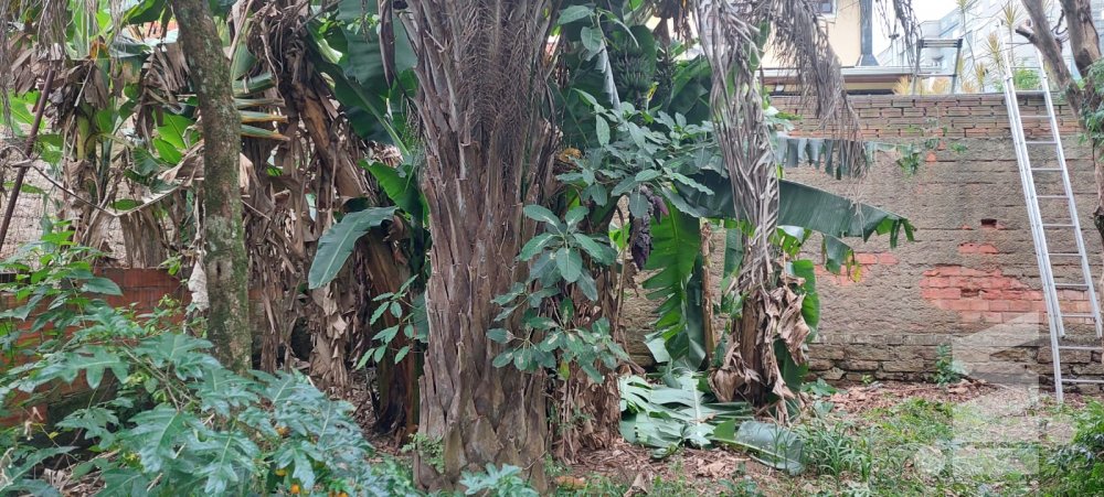 Terreno Nossa Senhora Das Graças Canoas