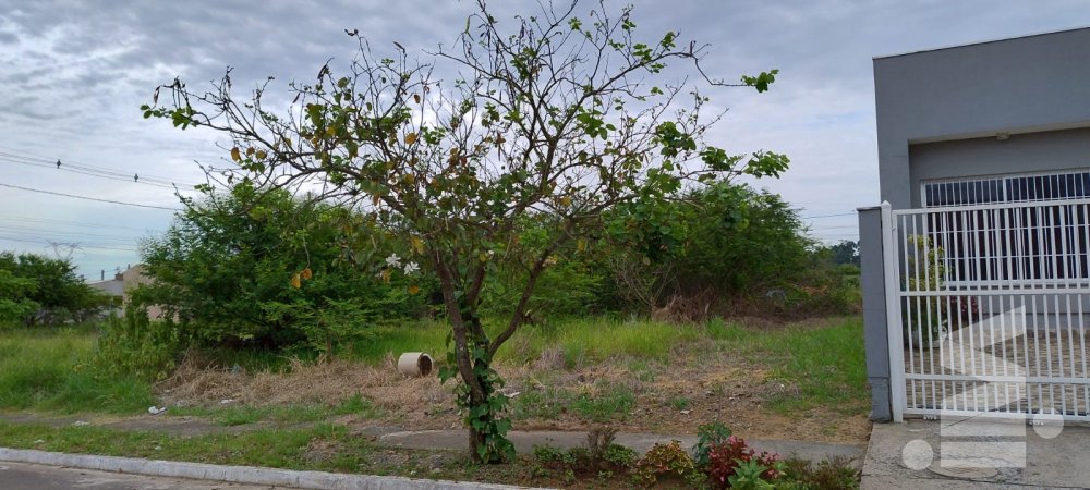 Terreno Paradis Canoas